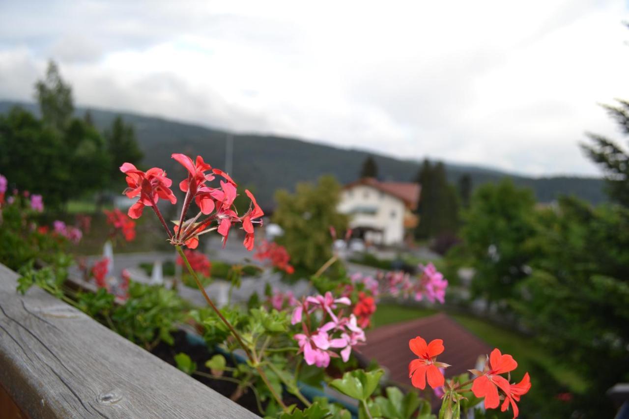 Gasthof Zum Gruenen Baum Verano ภายนอก รูปภาพ